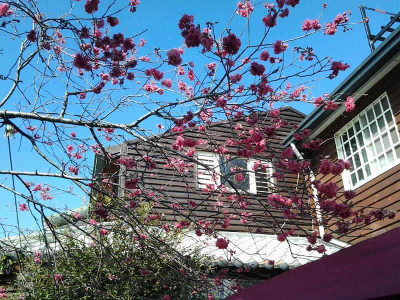 夢享家民宿(Share B&B)