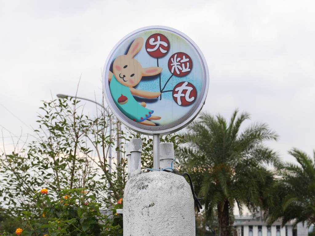 大粒丸民宿(Dahlia B&B)