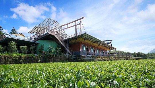 許家茶園民宿(嘉義瑞里民宿推薦)