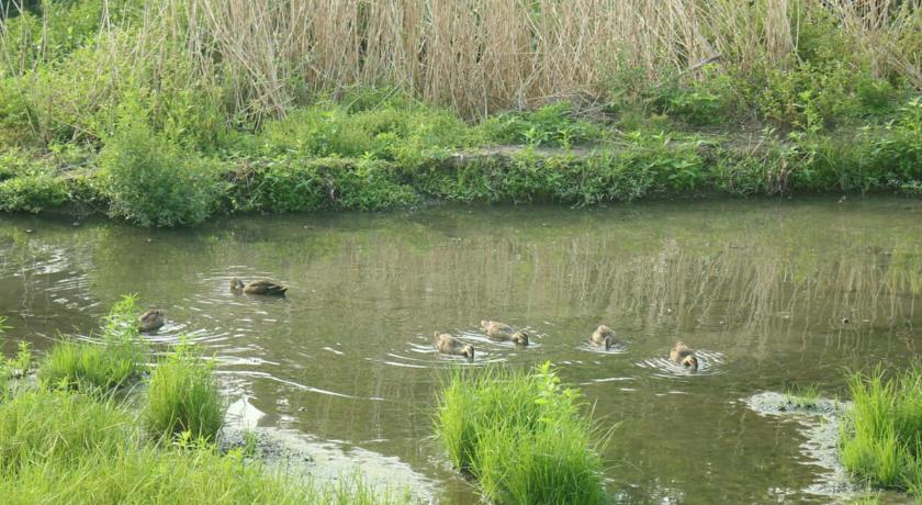 水鳥之家民宿(Water Bird Family)