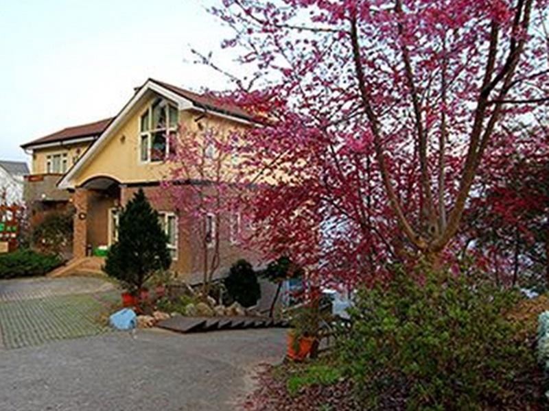 清境新樂園景觀山莊(Chingjing New Paradise Bed and Breakfast)