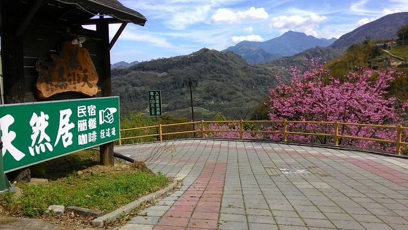 苗栗泰安天然居民宿