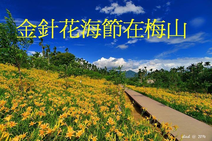 橫山屏休閒園區(金針花海節)