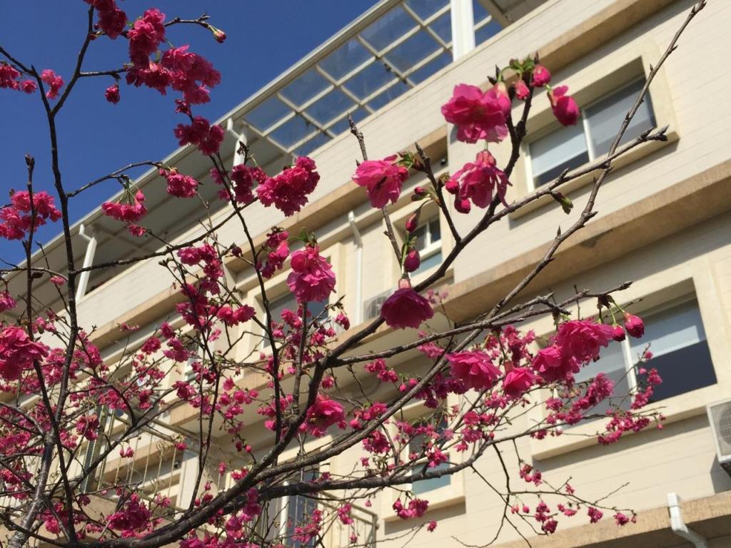 隱廬民宿(In Lulls Bed and Breakfast)