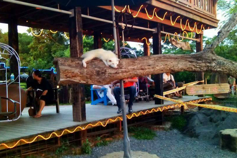 星月天空景觀餐廳