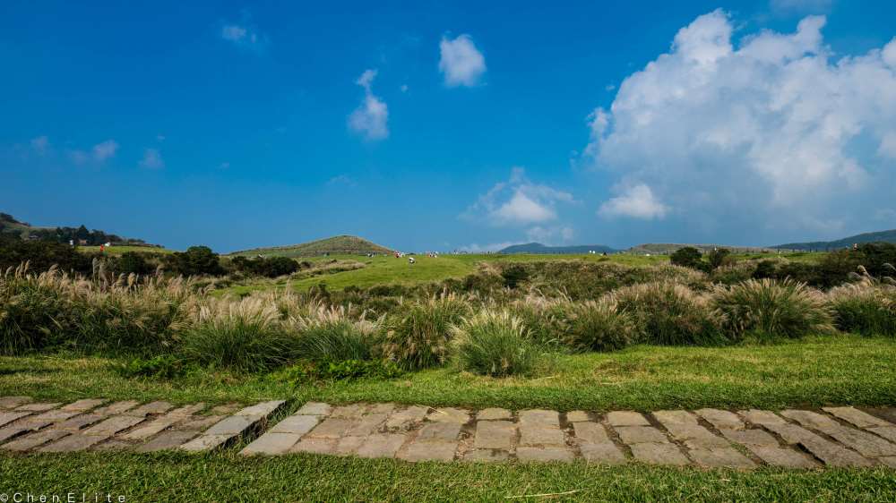 擎天崗草原-陽明山國家公園