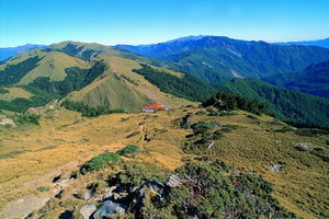 合歡山國家森林遊樂區