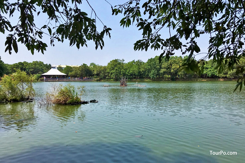 桃園八德埤塘生態公園