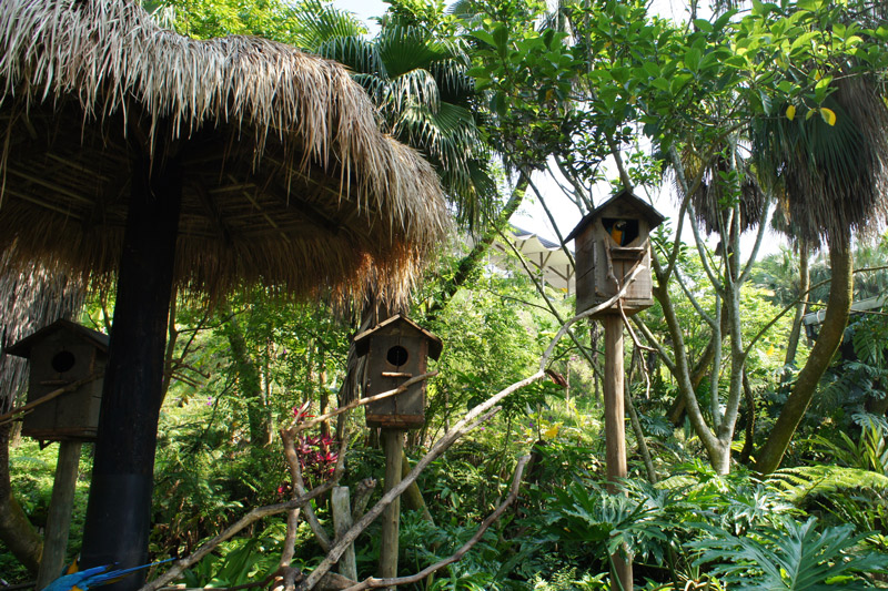綠世界生態農場