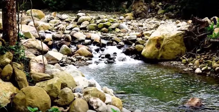 蓬萊溪護魚步道