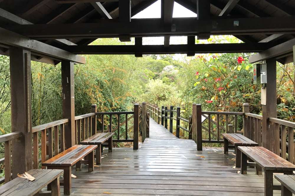 台中大坑十號步道