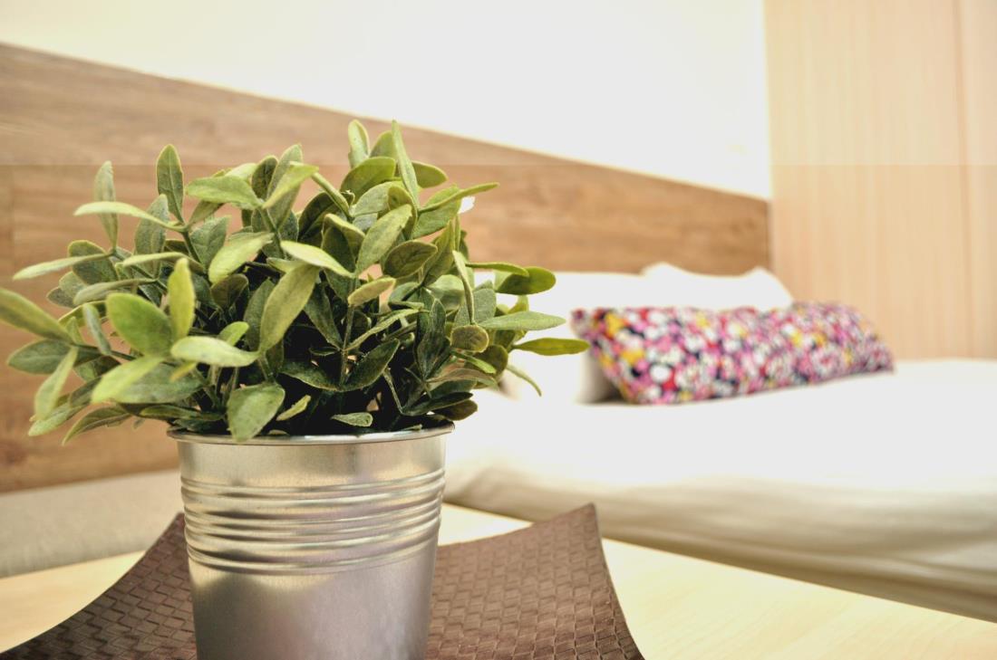 台中輕旅居(Fly Inn Hostel)