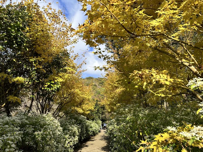 沐心泉休閒農場