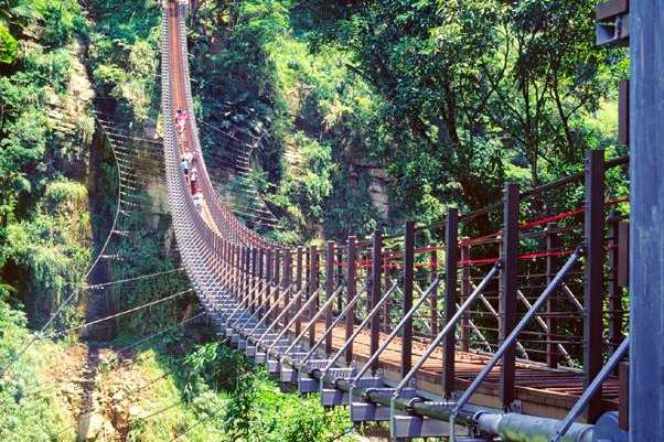 南投竹山天梯(梯子吊橋)