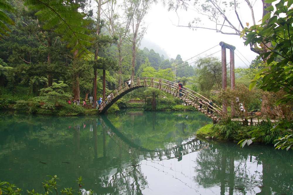 溪頭自然教育園區(溪頭國家森林遊樂區)-妖怪村、空中走廊、神木