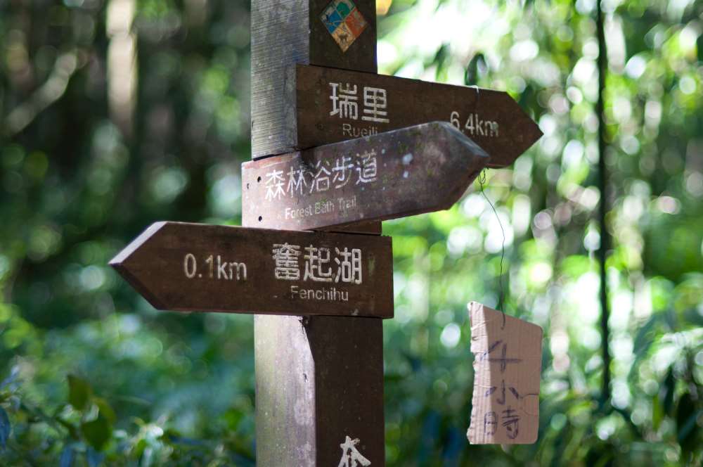 北側奮起湖步道-阿里山國家風景區