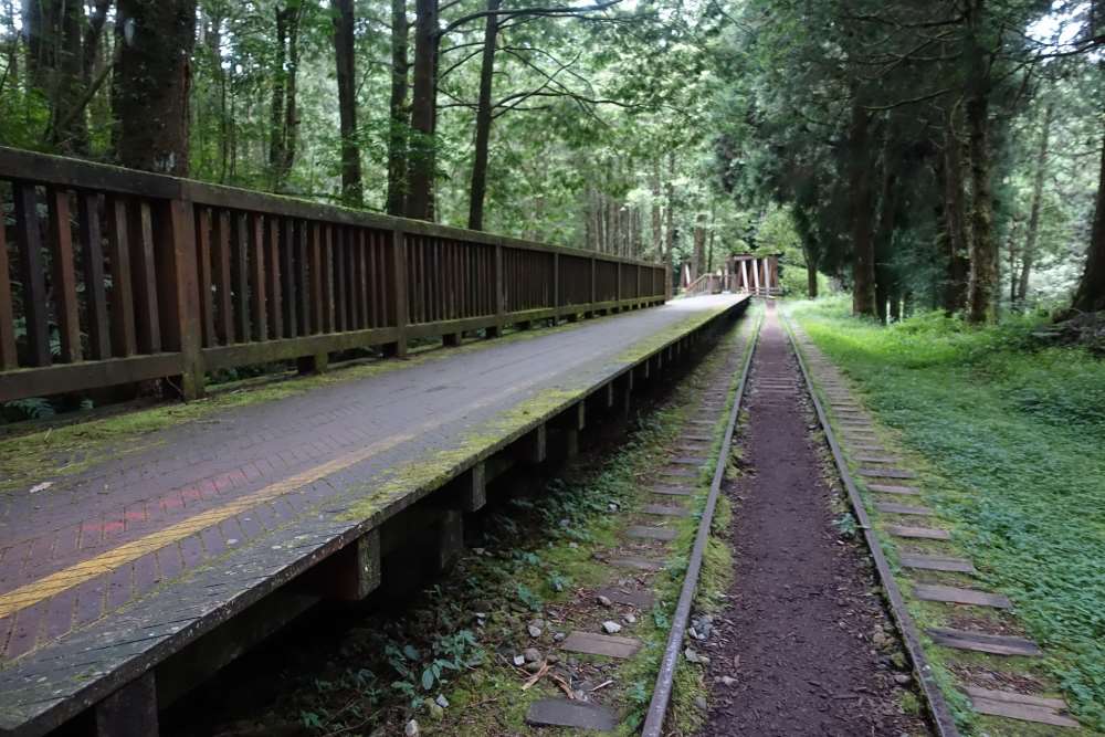 水山巨木-阿里山新八景