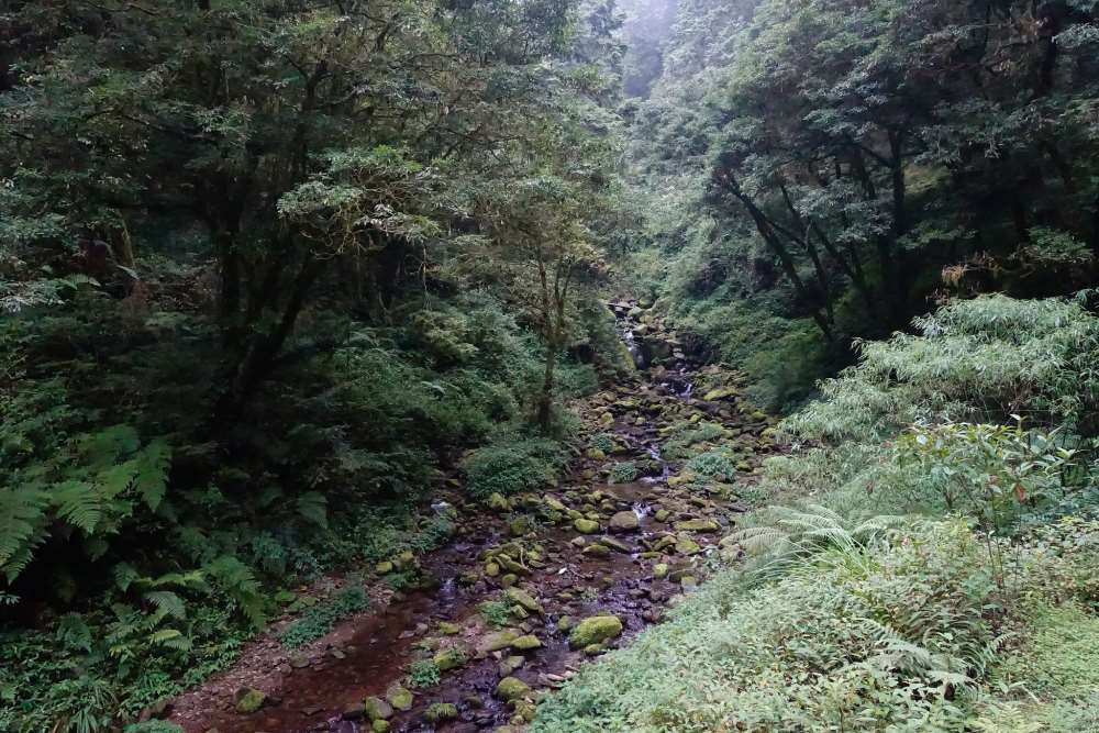 神怡流瀑-阿里山新八景