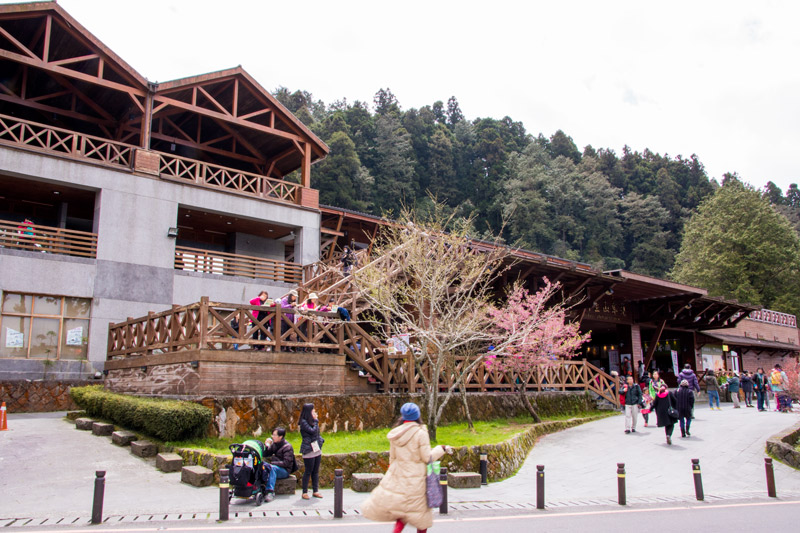 阿里山國家森林遊樂區-阿里山火車站