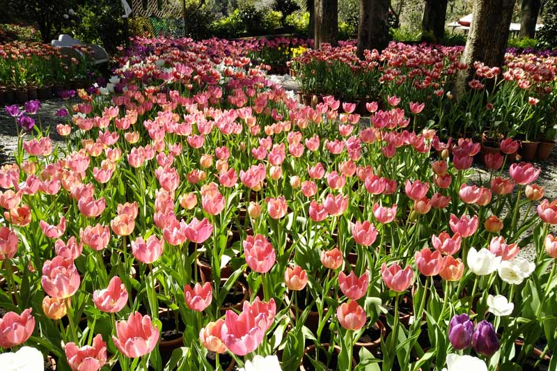 南元休閒農場天然埤塘