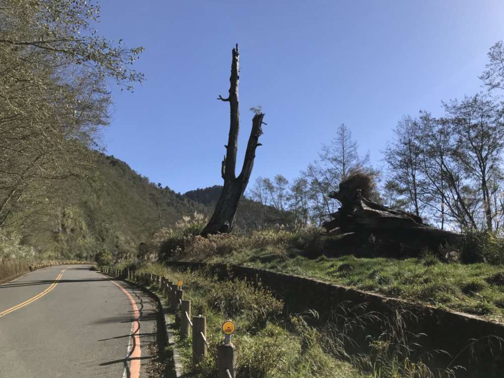 玉山國家公園管理處