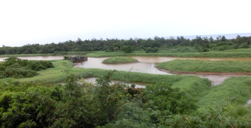 無尾港水鳥保護區