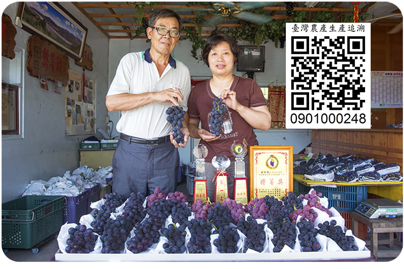 苗栗卓蘭鎮雄觀光果園