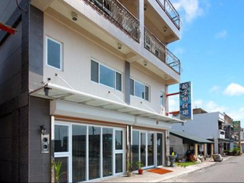 爺子樹民宿(Cocotree Homestay)