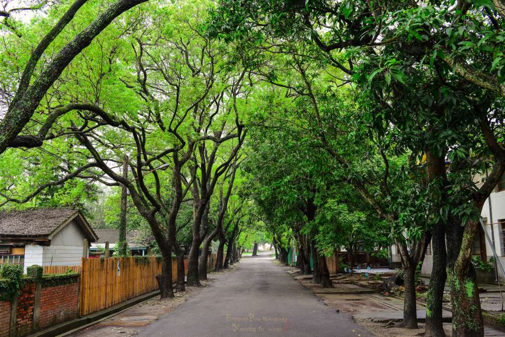 台中霧峰光復新村文創聚落