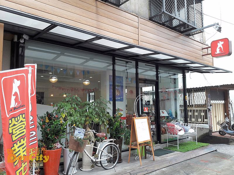 Two puppies動物友善餐廳