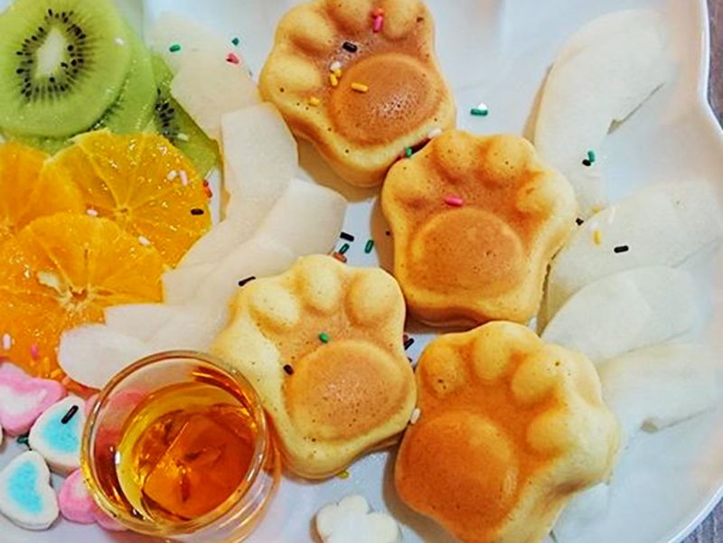 9號貓巷貓咪(台中南區主題餐廳)