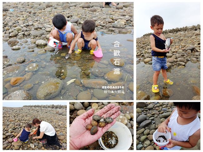 苗栗後龍景點 ▶ 合歡石滬 ▶ 外埔漁港祕境 石滬生態探索 抓螃蟹、挖海瓜子、捕魚樂趣無窮 來石滬挖寶
