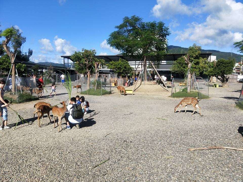 鹿境梅花鹿生態園區