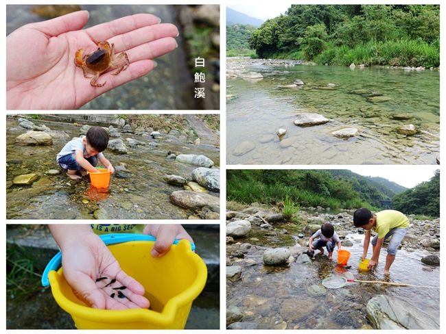 花蓮玩水秘境 ▶ 白鮑溪 ▶ 夏日溪邊玩水好去處 玩水・撈魚・抓螃蟹・撿玉石 #花蓮壽豐景點 #花蓮親子旅遊