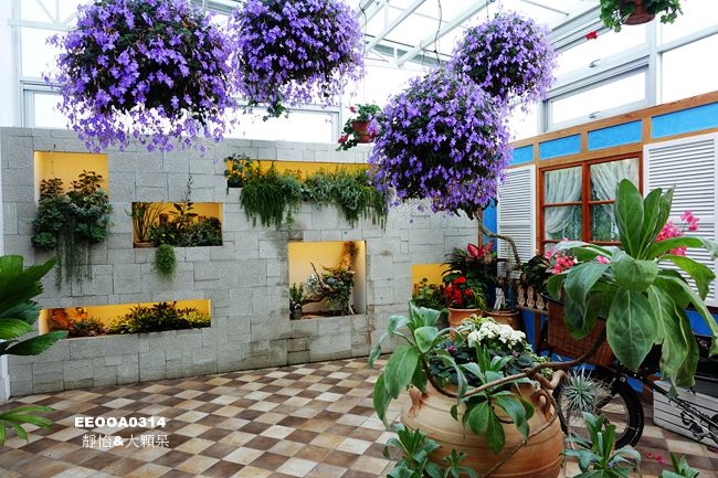 【彰化景點】菁芳園 ♥ 浪漫的落羽松步道及溫室玻璃屋餐廳 一年四季有不同的美景 IG打卡/熱門拍照景點/彰化一日遊/彰化景觀餐廳