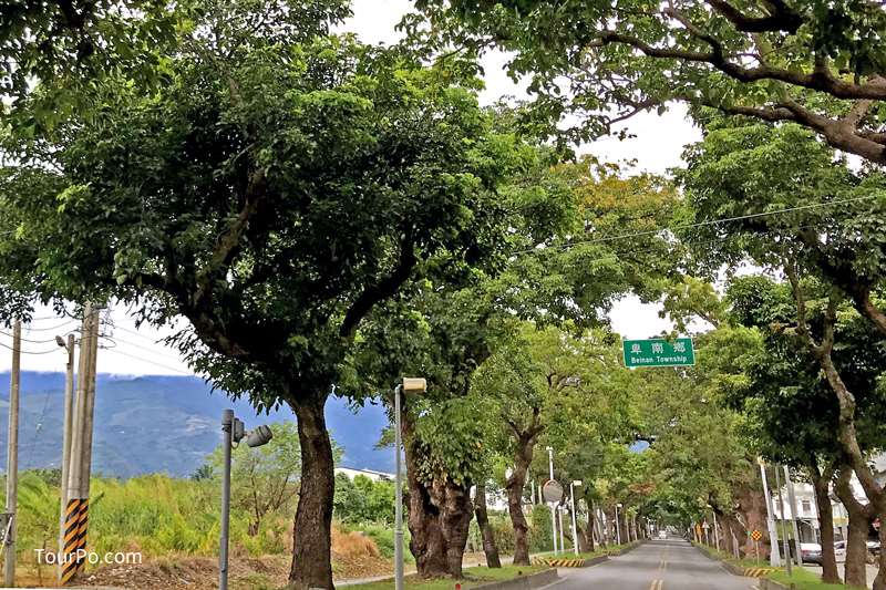 台東卑南綠色隧道