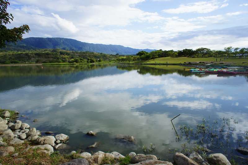 台東池上大坡池風景特定區-環圳自行車道、夏季竹筏季