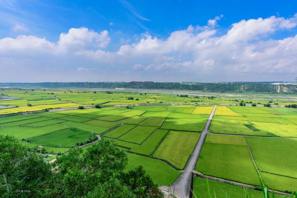 台中外埔忘憂谷