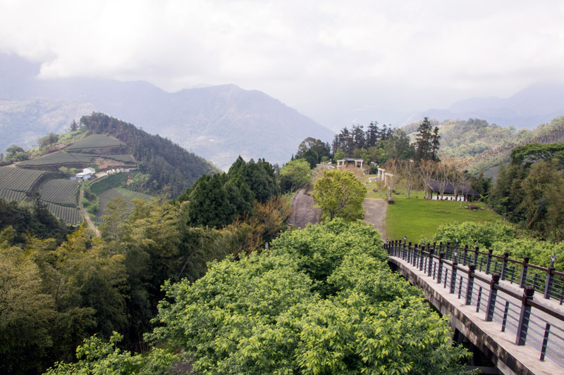 寒溪呢森林人文叡地