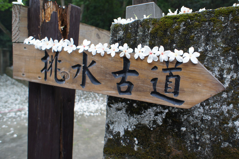 彰化芬園挑水古道(客家桐花祭)