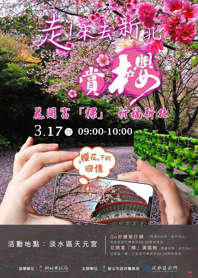 淡水天元宮櫻花滿開區公所籲搭接駁車